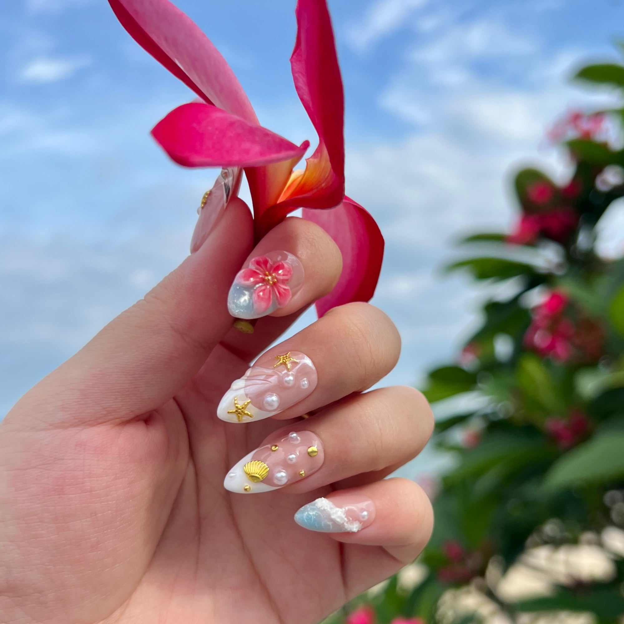 Shell Garden