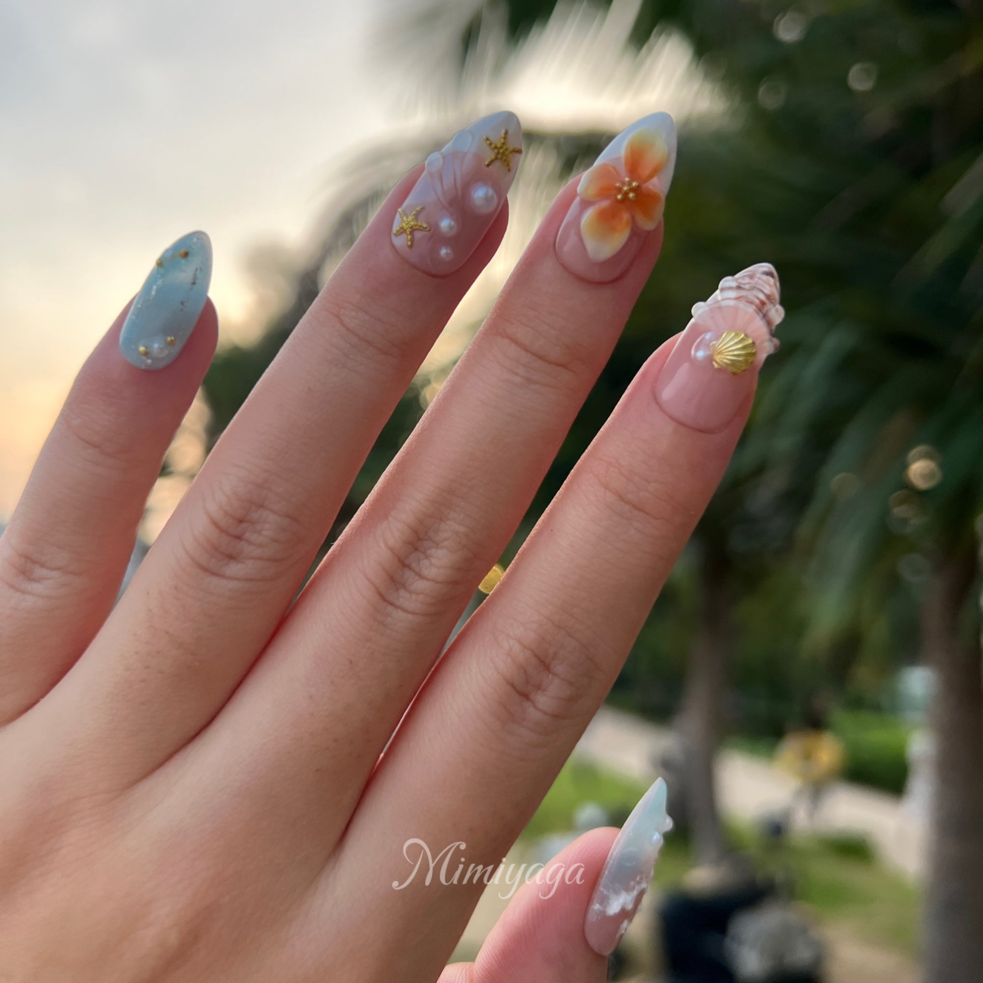Shell Garden