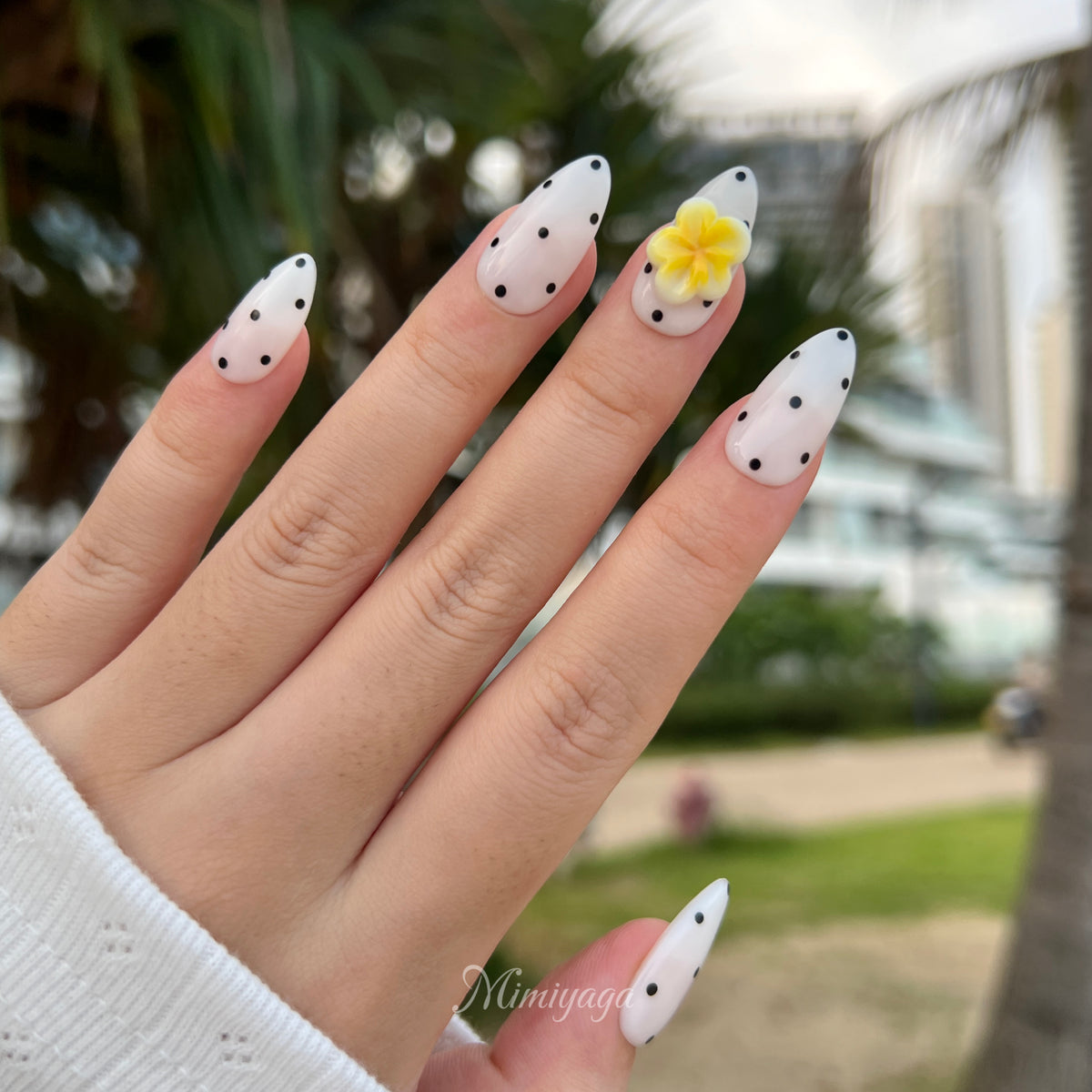 Polka Escape